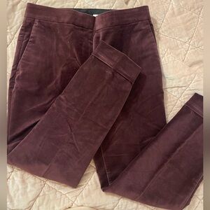 Plum Velvet Ann Taylor Pants